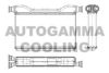 AUTOGAMMA 107014 Heat Exchanger, interior heating